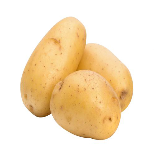 Potato