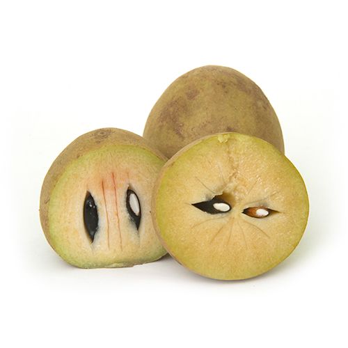 Sapota