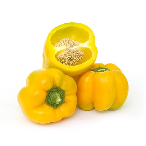 Capsicum